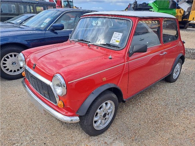 Rover Mini